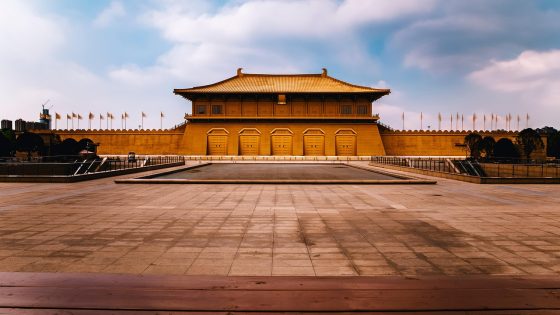 楼凤宫平台内容数据看板截图风格插画，黑金配色，展示各内容分类的热度分布与实时更新状态，数字化界面风格